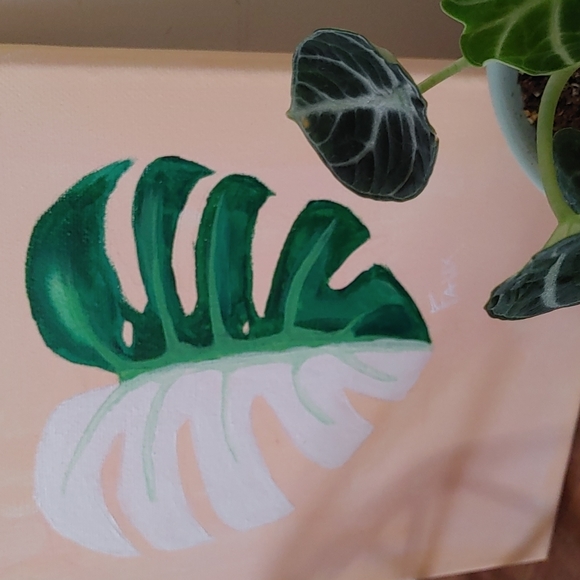 Monstera deliciosa veriegated original painting - Picture 4 of 6